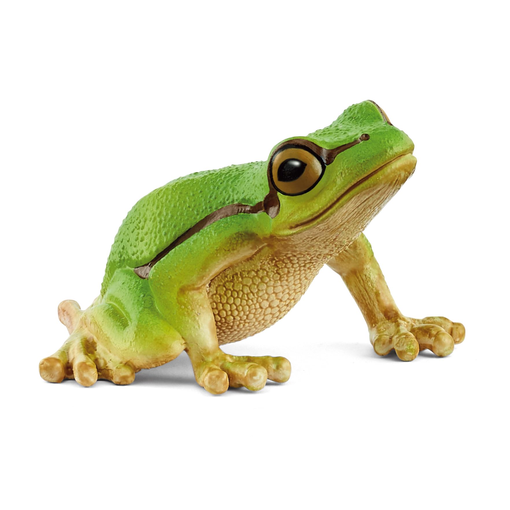 Schleich Wild Life - European Tree Frog Toy Figurine. Realistic Hand-Painted Animal Toys for Boys and Girls. Durable Educational Wolf Figure for