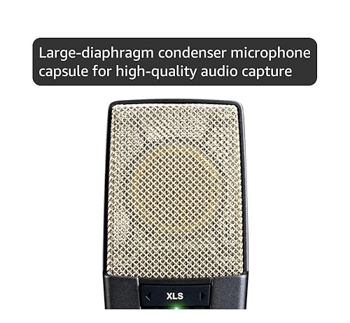 Amazon.com: AKG Pro Audio C414 XLII Studio Grade Professional