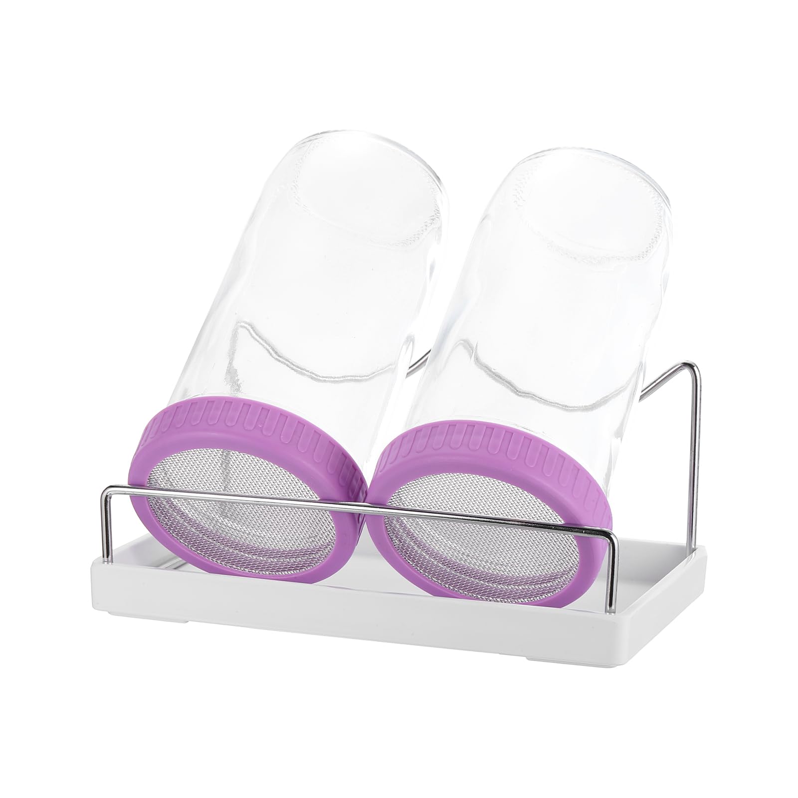 QUARKZMAN Kit de Germination - 2 Bocal de Germination de 730 ML Comprenant 1 Support, 1 Plateau et 1 Brosse – pour Germes, Cresson et Micro-Pousses - Violet