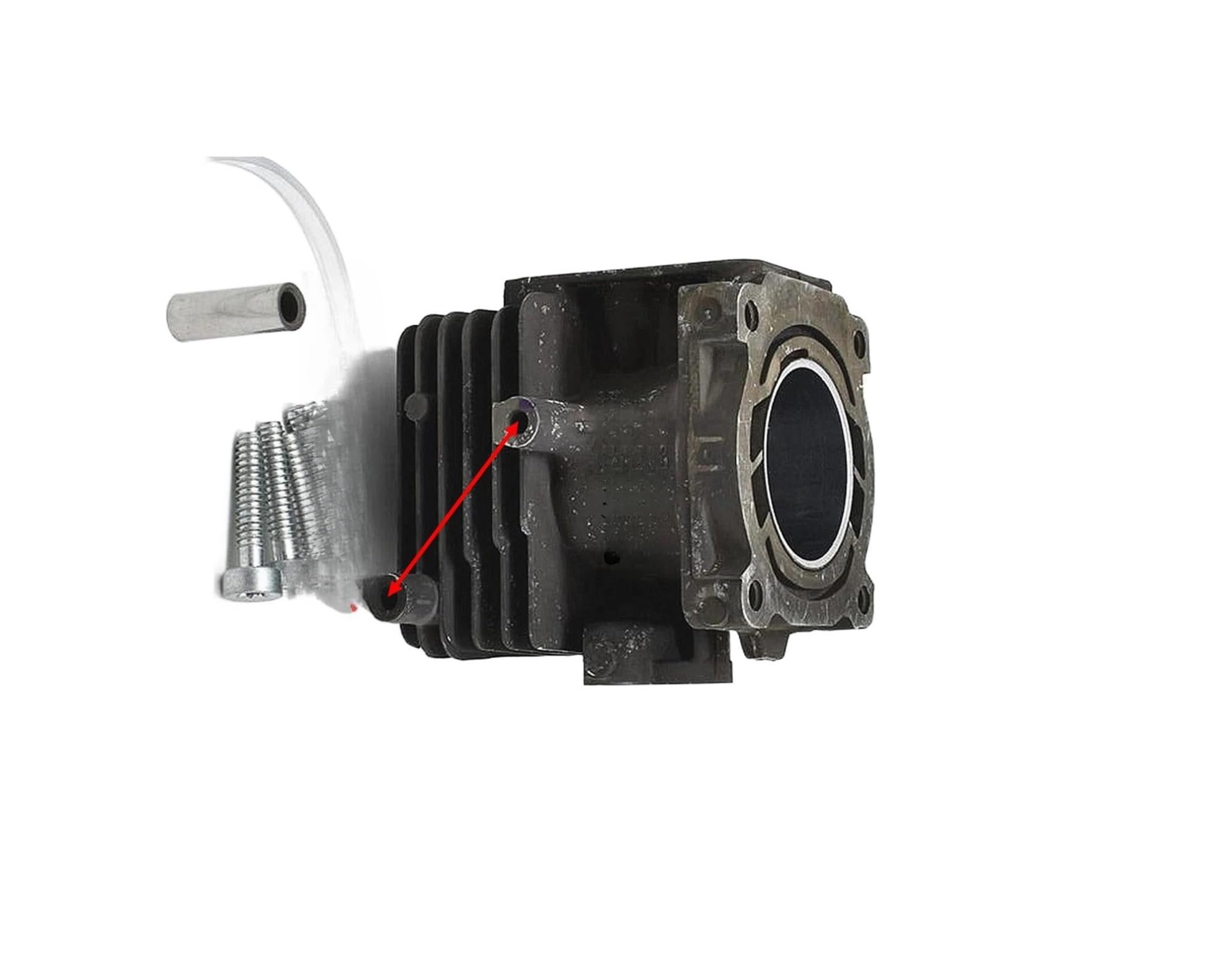 Taille des buissons denses pour la haie HS82T/87R au jardin