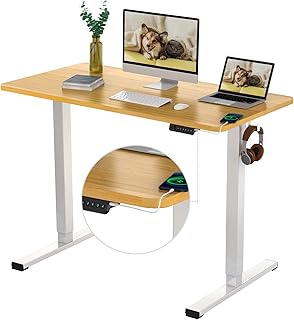 FLEXISPOT Adjustable Desk Quick Assembly Electric Standing Desk with 48 x 24 Inches Whole-Piece Ergonomic Memory Controller Sit Stand Desk(White Frame + 48" Bamboo Texture Desktop)