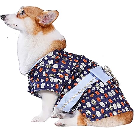 extra small dog outfits