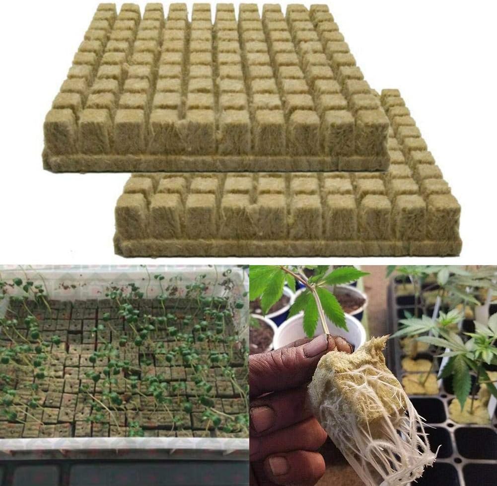 50 x Rockwool Leaf Propagation Block Clone Seed Cubes Dapper Set Hydroponic Grow without Soil Cultivation Plantation Compress Base