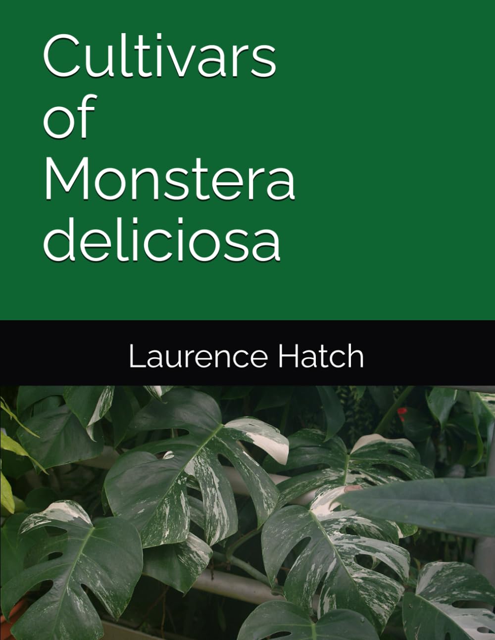 Cultivars of Monstera deliciosa (Houseplant Cultivars)