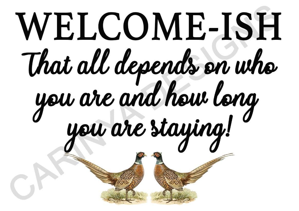 Funny Welcome-ish Metal Sign Home Kitchen Hallway depends who you are Gift Bar (Aluminium A5 (200x150mm) Approx)