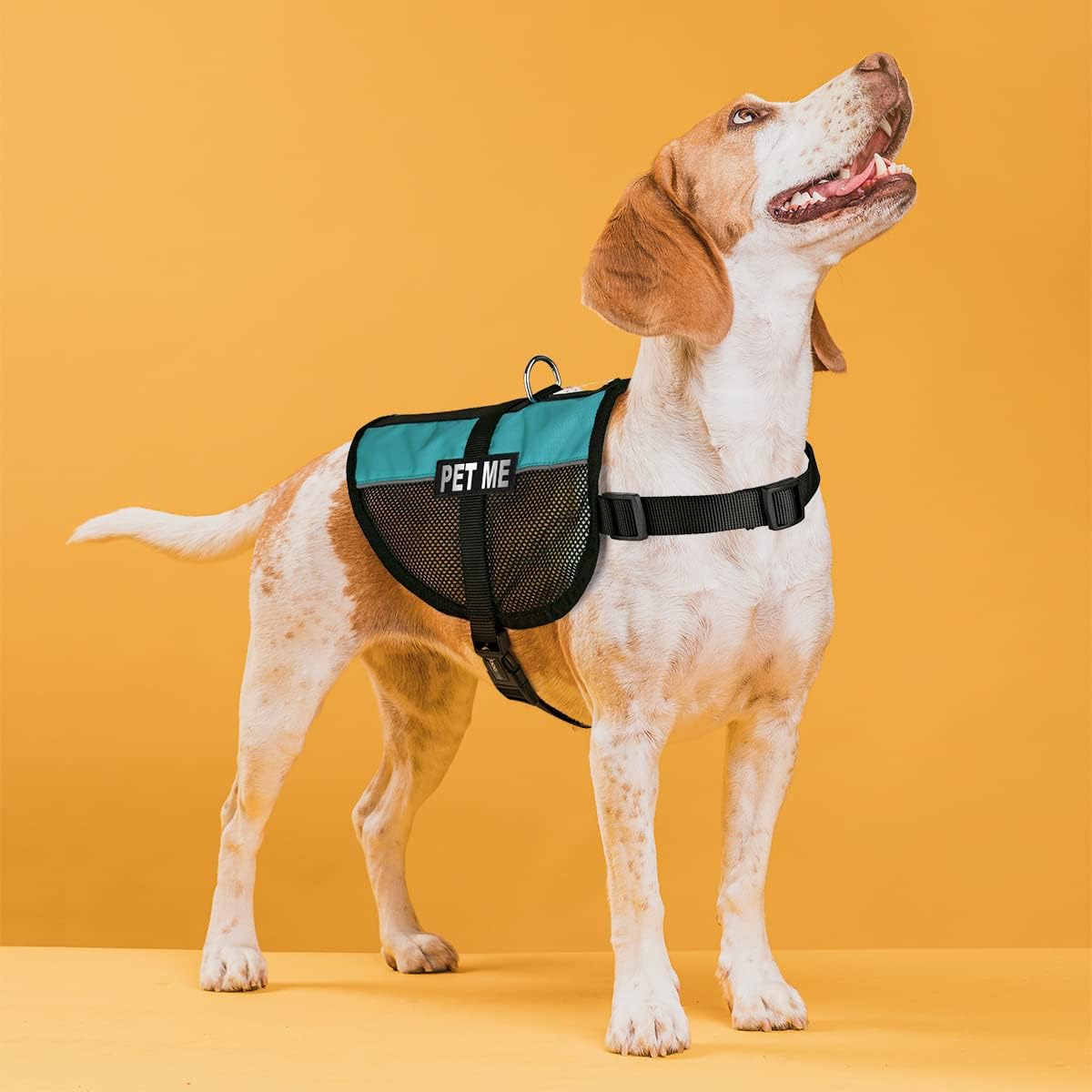 Dogline 13"-16" MaxAire Mesh Vest for Dogs and 2 Removable Pet Me Patches, Small, Turquoise
