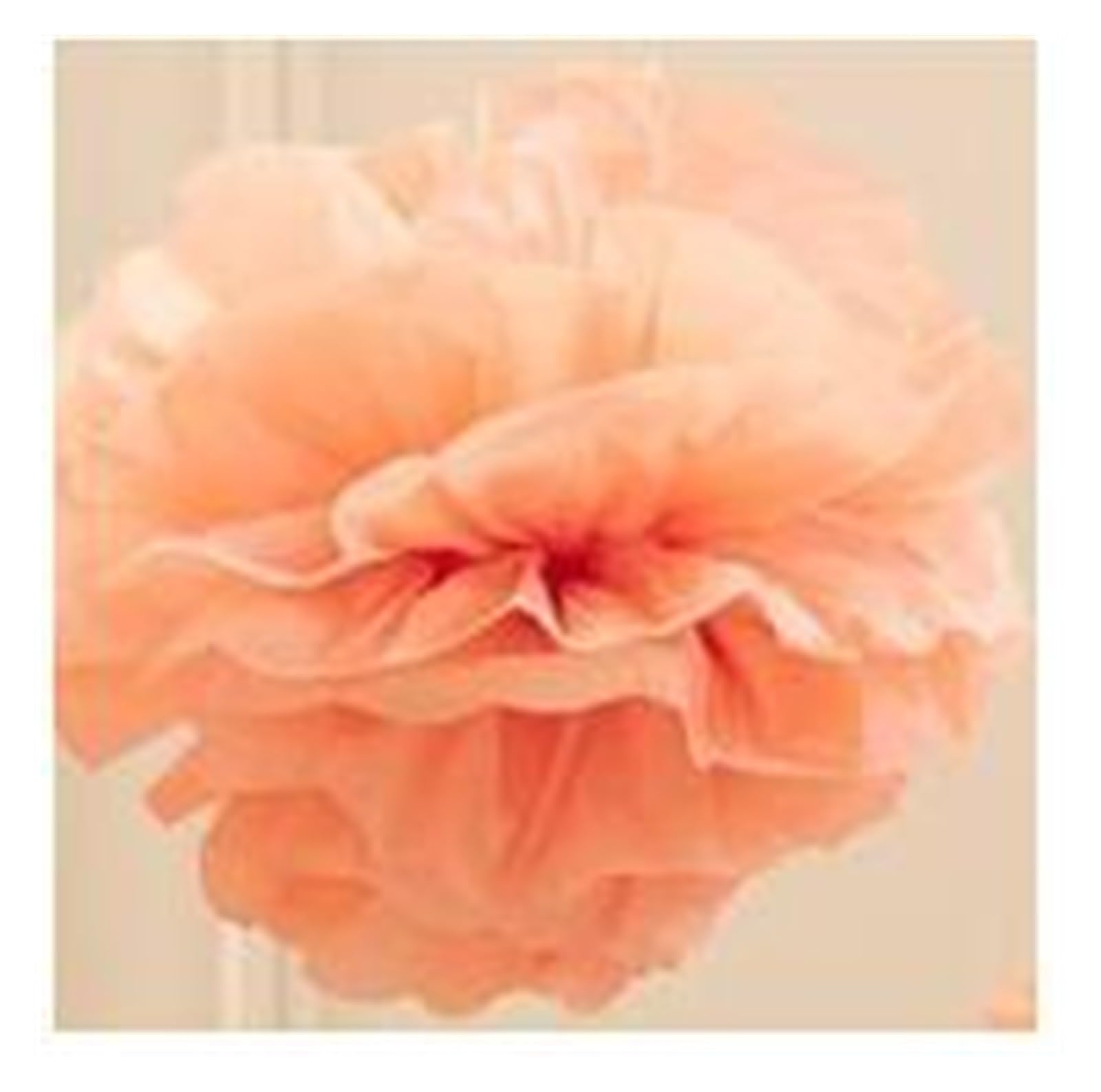 Pompons en Papier