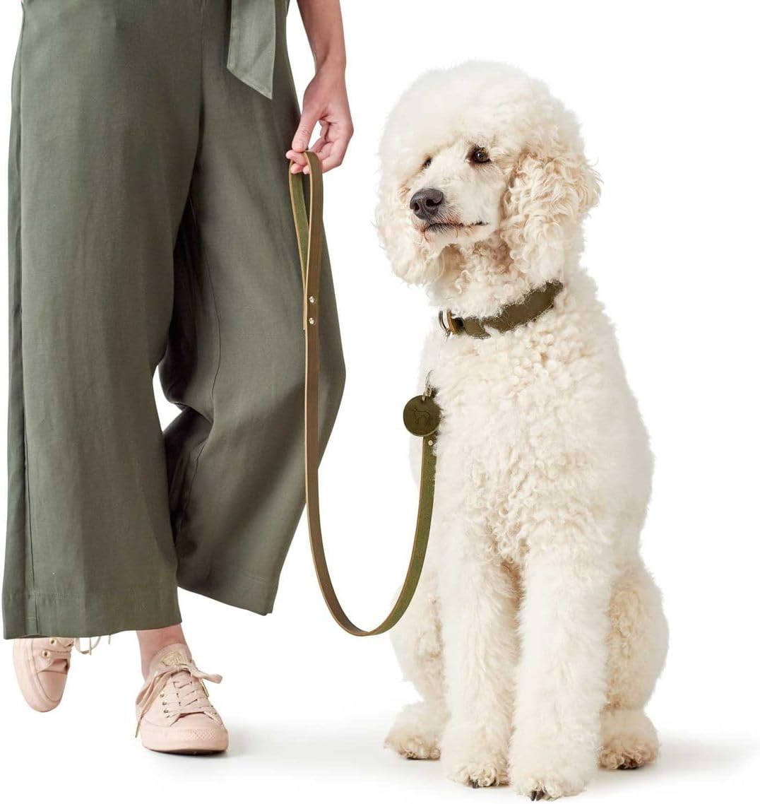 HUNTER Leash, 13/110 67299 Soft Genuine Cow Leather, Olive