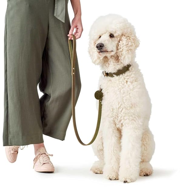Foto 2 de 2 de HUNTER Correa para Perro de Piel, Simple, Resistente, Flexible, 1,6 x 100 cm, Color Verde