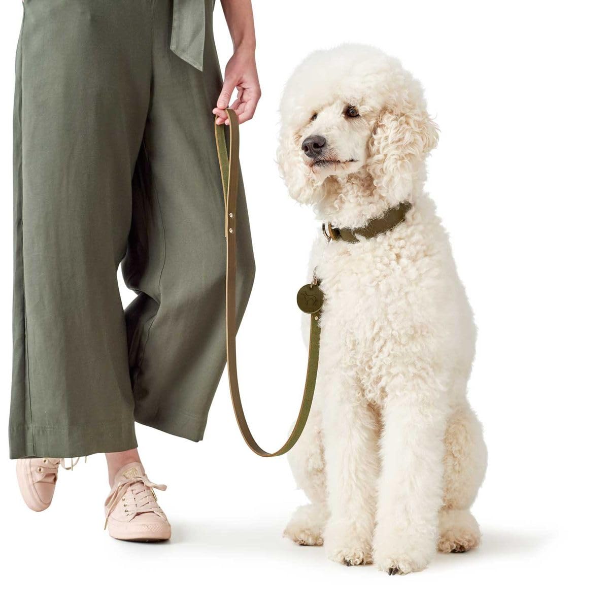 HUNTER Leash, 20/100 67301 Soft Genuine Cow Leather, Olive