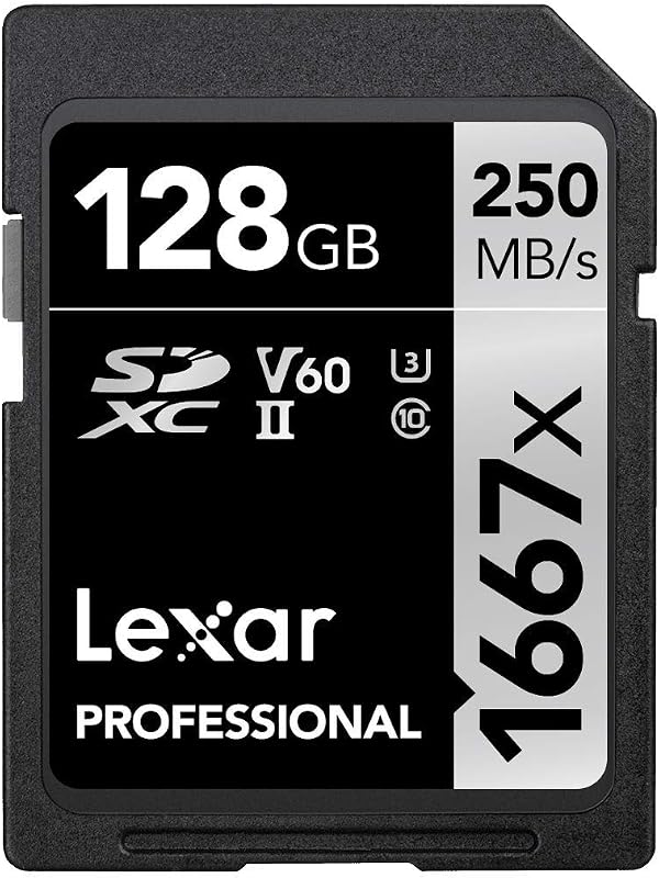 Professional 1667x 128GB SDXC UHS-II Cards, 10-Pack (LSD128CBNA1667PK10)