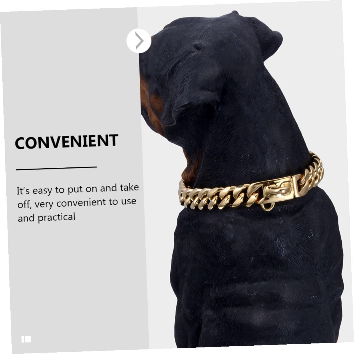 Collier à Chien Résistant en pour Acier Inoxydable Or l'usure Confortable à Porter, Facile à Mettre Enlever, Accessoire Décoratif pour Chiots