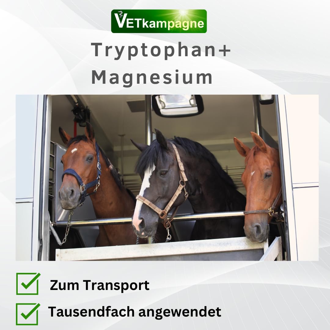 Tryptophan + Magnesium Pferd [Hochdosiert] – Von Tierärzten entwickelt – Unterstützt Nerven, Entspannung & Losgelassenheit – Mit Vitamin B12 – Ergiebiges Pulver 2000 g Nachfüllpack