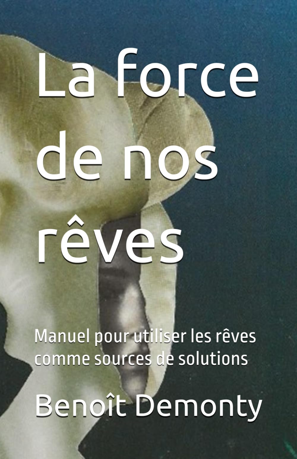 La force de nos rêves: Manuel pour utiliser les rêves comme sources de solutions