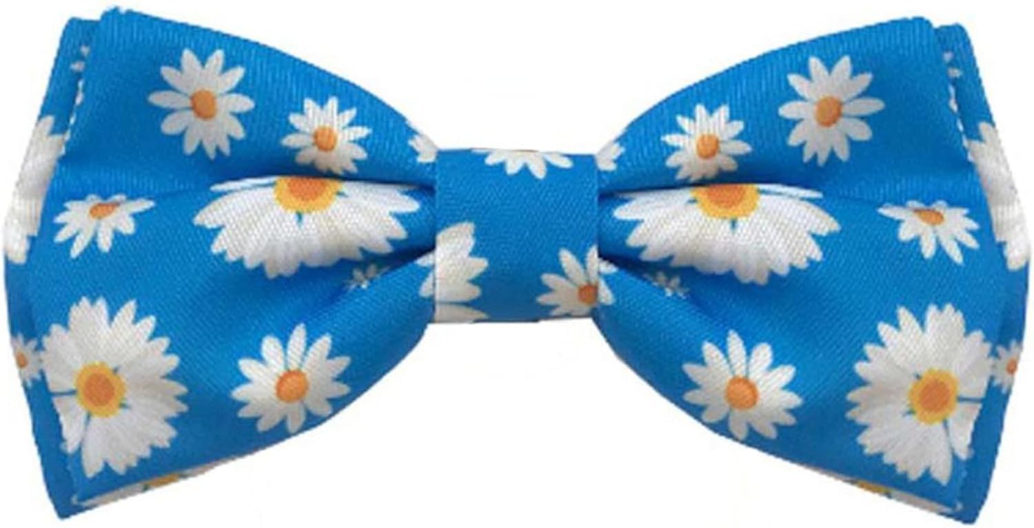 Accesorios