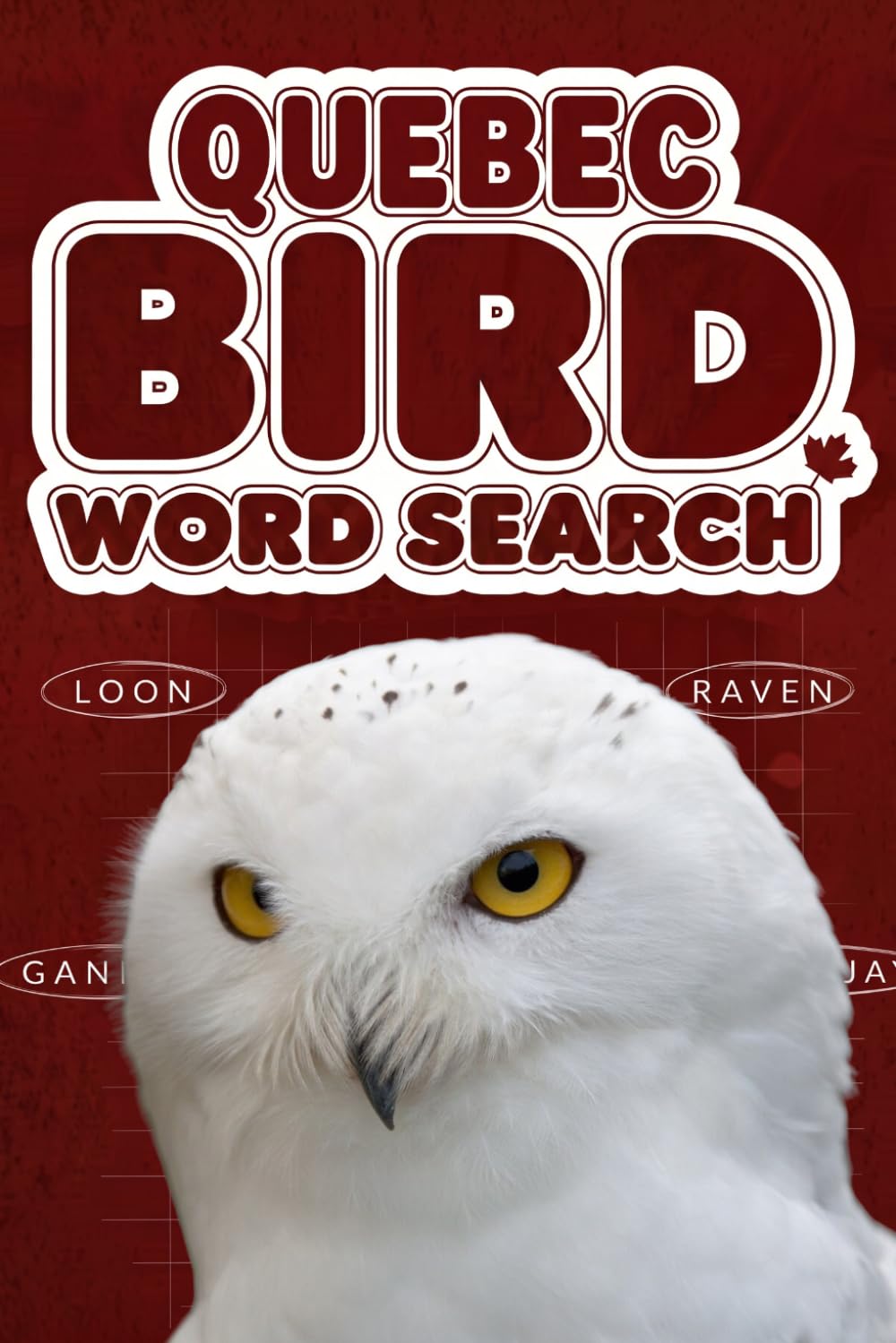 Quebec Bird Word Search, A Canada Bird Identification Word Game for Birdwatchers and Ornithologists