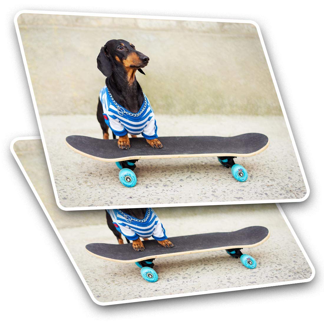 Rectangle Stickers (Set of 2) 10cm - Funny Skateboarding Dachshund Fun Decals for Laptops,Tablets,Luggage,Scrap Booking,Fridges, #13274