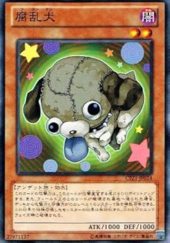 61eXJBc6P6L._AC_UF350,