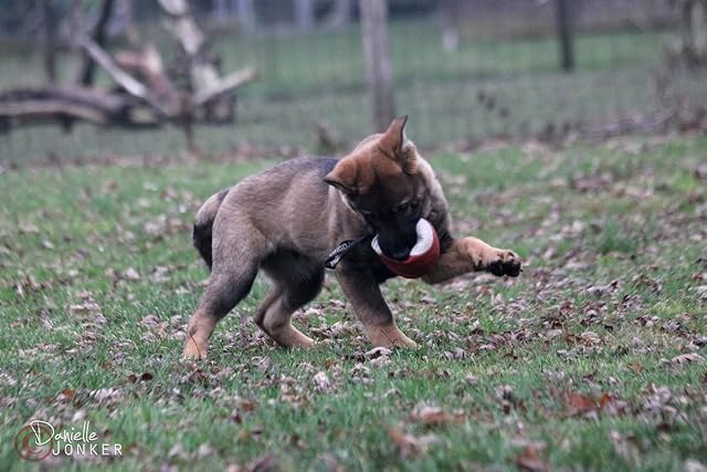 Foto 6 de 7 de Dingo Gear Pelota Suave de Cuero Genuino Ø 11 cm, con asa