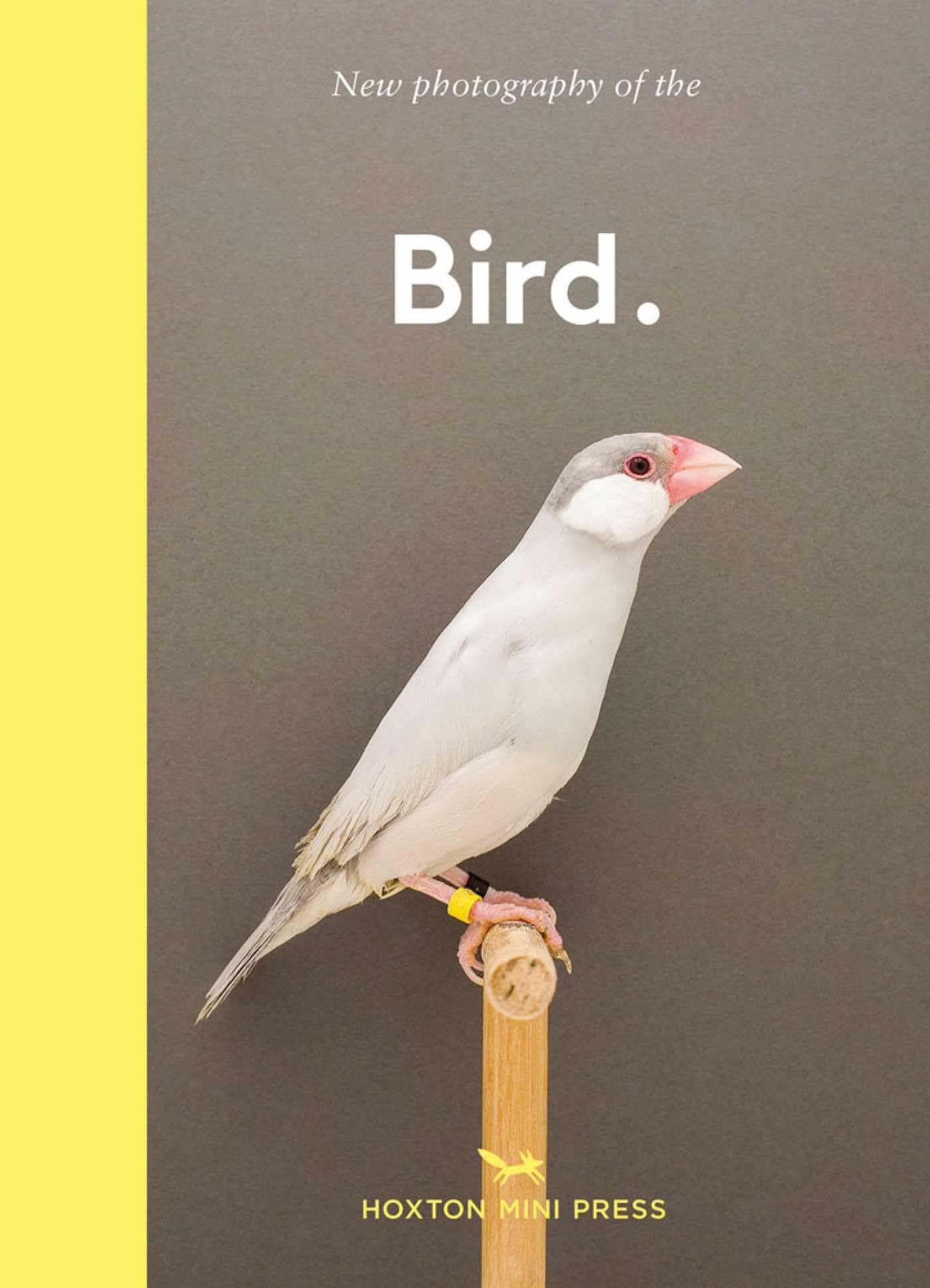 Bird. The best new photography of birds by Hoxton Mini Press (Hardback Book)