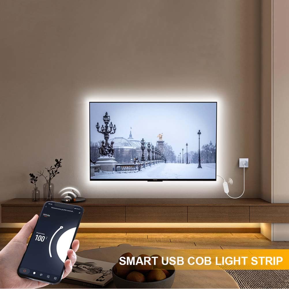 AoLa Striscia LED COB dimmerabile bianco caldo 3000K Controllo tramite app e comando vocale Striscia LED con connettore USB e interruttore autoadesivo Illuminazione interna,3M