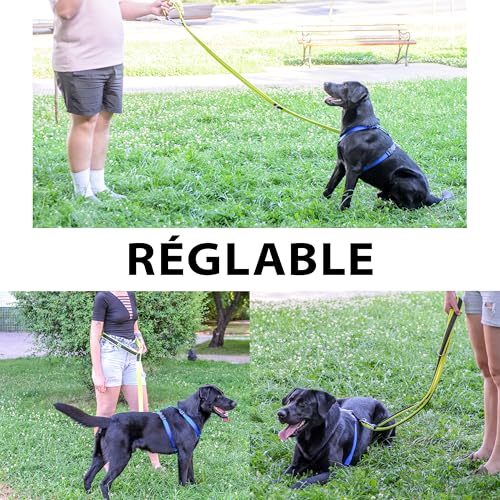 Laisse pour chien de taille moyenne jaune réglable Ferplast - 6