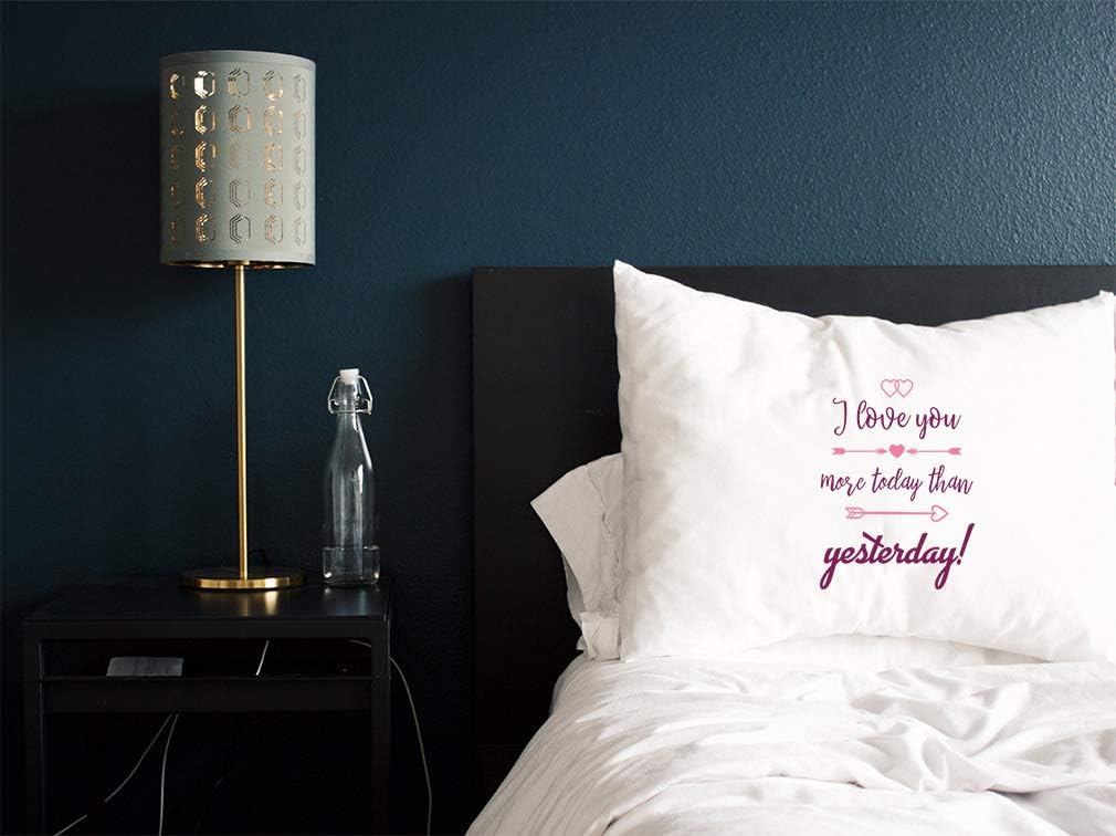 Style In Print Custom Pillow Case I Love Valentines You More Today Than Yesterday! Motivation Inspiration & Motivation Polyester Home Decor Bed Pillow Covers Personalized Text Here 30x20 Inches