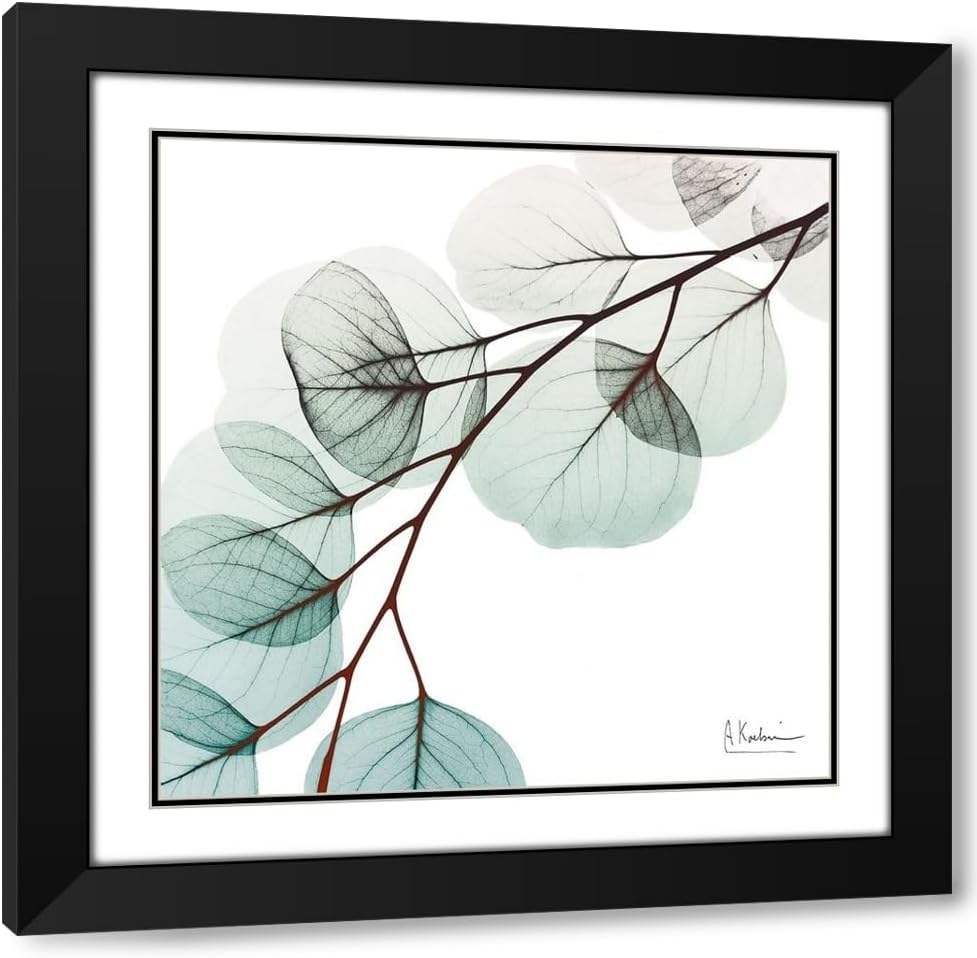 Koetsier, Albert 15x15 Black Modern Framed and Double Matted Museum Art Print Titled Extravagant Eucalyptus 1