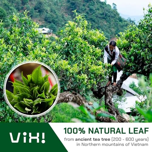 Image of VIXI Green Oolong Tea Bags, 150 Counts, Vietnam's Mountain Tea, Caffeinated, Tagless, Balanced Taste, 100% Natural from Ancient Tea Tree, Perfect for Hot and Cold Brew