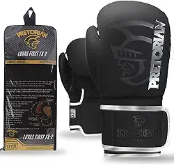 Luva de Boxe e Muay Thai FX2 Pretorian