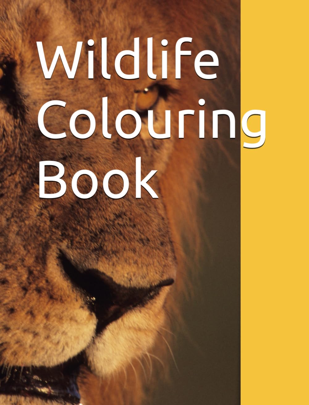 Wildlife Coloring Book