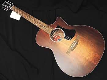 EASTMAN PCH1-GACE エレアコ アコースティックギターイーストマン Eastman PCH1-GACE Thermo-Cure Natural アコースティックギター