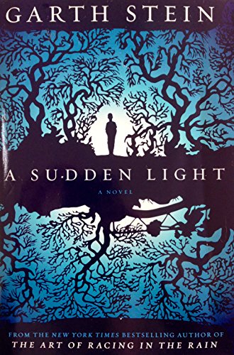 A Sudden Light[SUDDEN LIGHT][Hardcover] B00QO3RMKI Book Cover