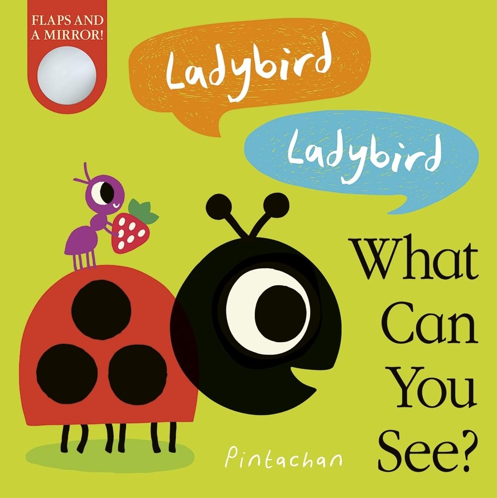 Ladybird! Ladybird! What Can You See? by Amelia Hepworth (Board book)