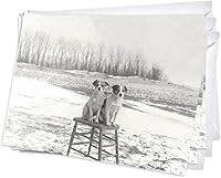 Vista 16 de Wright Home & Gift Bouquet Funeral - Tarjetas de felicitación de condolencia Juego de 2 unidades + 2 sobres (5 x 7)