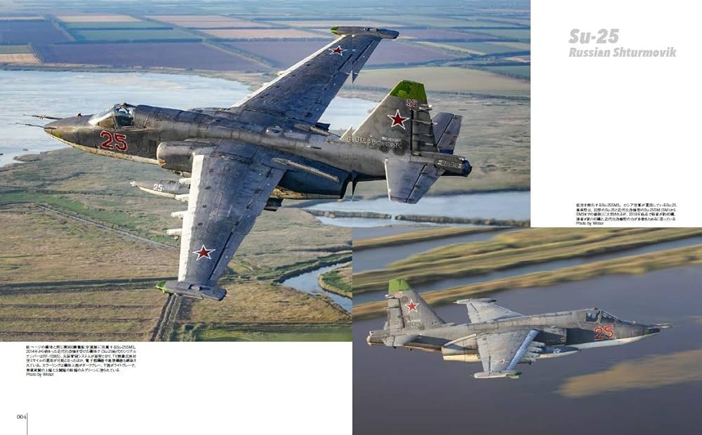Su-25 フロッグフット (世界の名機シリーズ) | 富永 浩史, 宮永