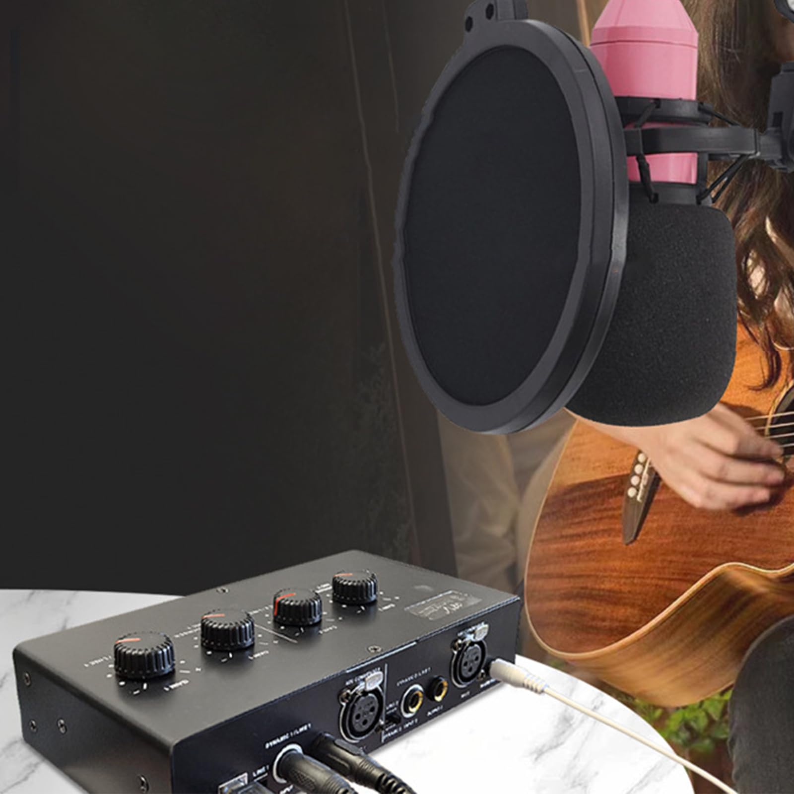 Preamp Microfono A Doppio Canale per Microfoni Dinamici E Condensatori con Microfono Dinamico da 50 E Potenza