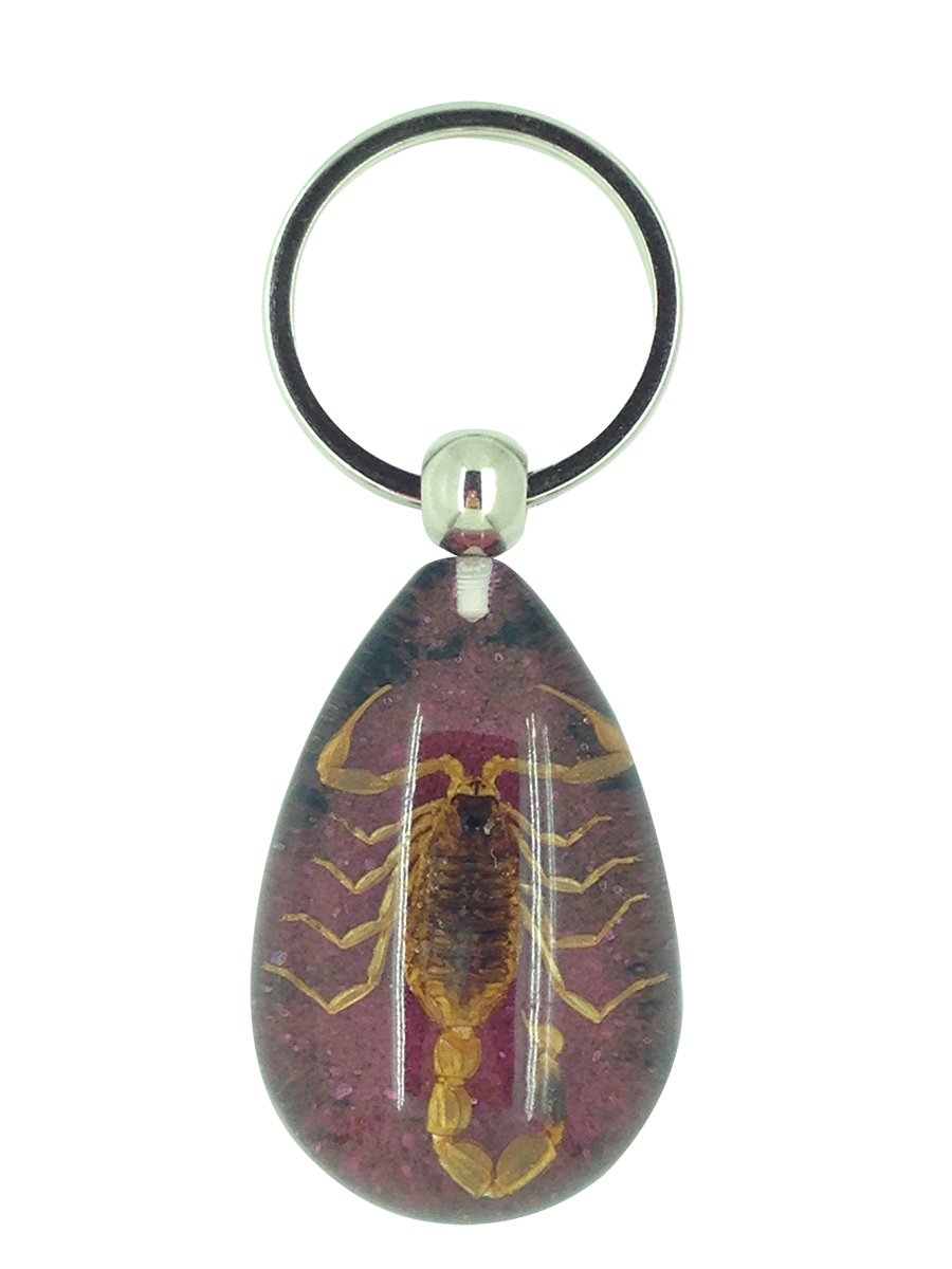 Luck Trader Purple Real Scorpion And Black Resin Keyring