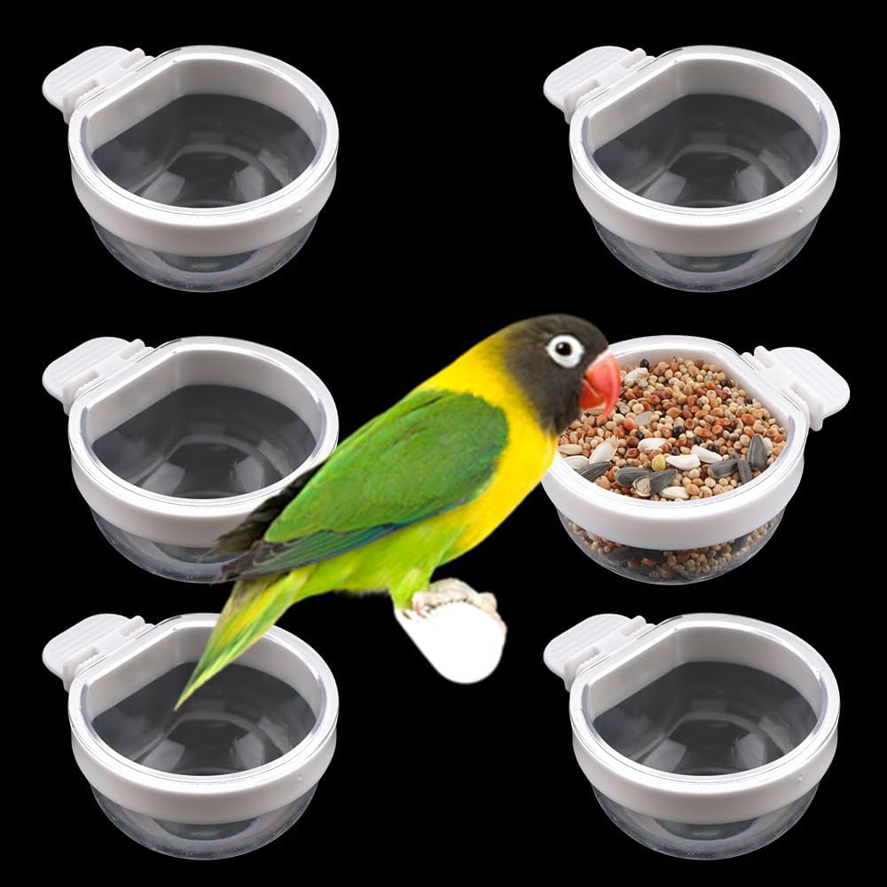 6 Pack Detachable Transparent Bowl Plastic Food Cup Convenient Hanging Seed Water Feeder for Parrot Canary Finch Small Size Bird
