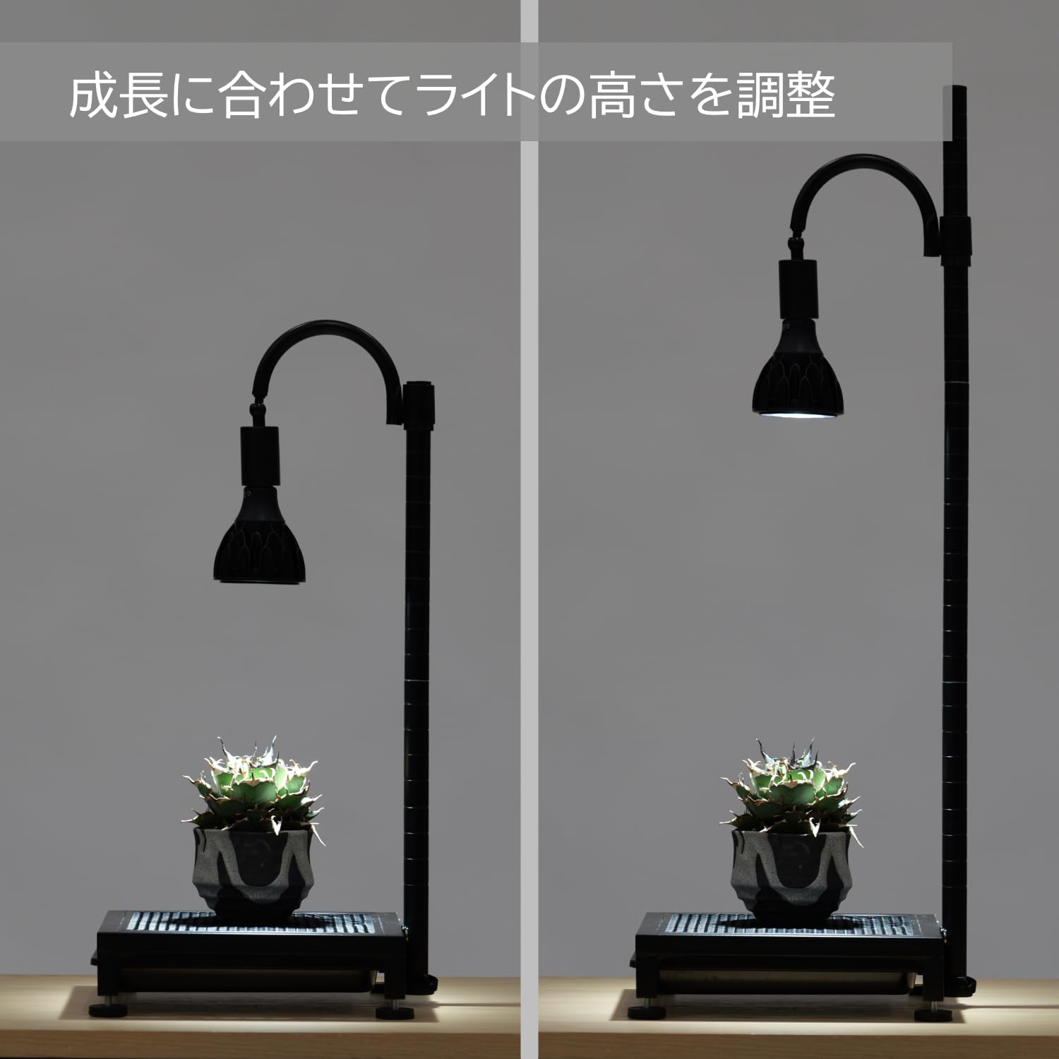 Amazon.co.jp: BIBILAB(ビビラボ) 植物育成ライトスタンド・ソロ