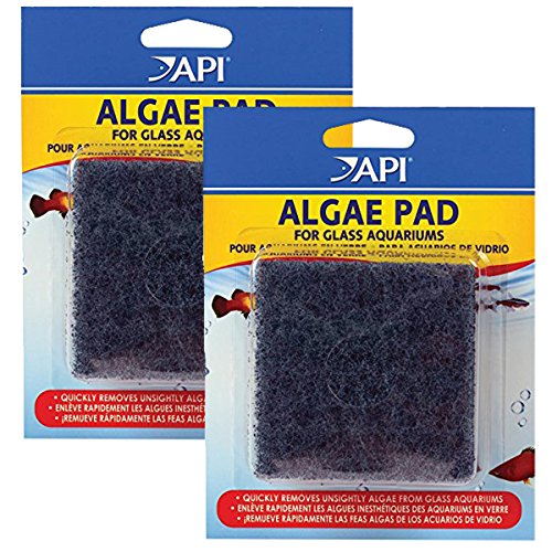 API Hand HELD Algae PAD for Glass Aquariums 2-Count Container
