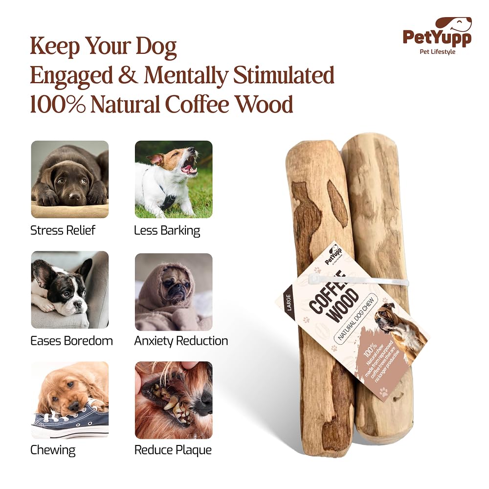 Juguete masticable para perros de madera de café 100 % natural, grande, paquete de 2, juguete duradero para masticadores agresivos, promueve la salud dental, reduce el sarro y es seguro para