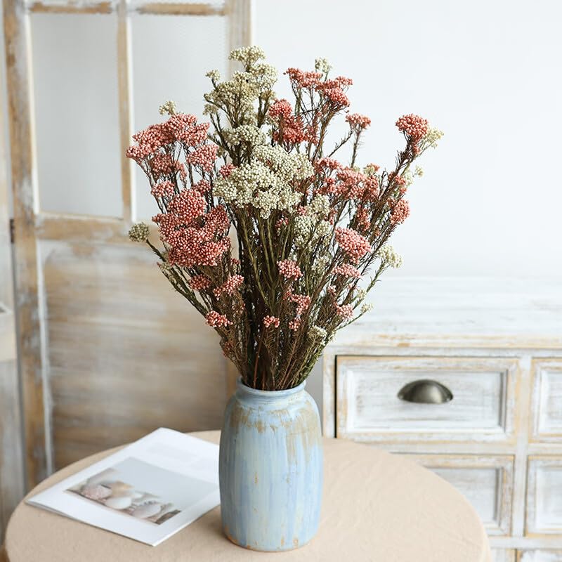 Dried Flower Rice Flower White Dogwood 20 piezas miniatura 6