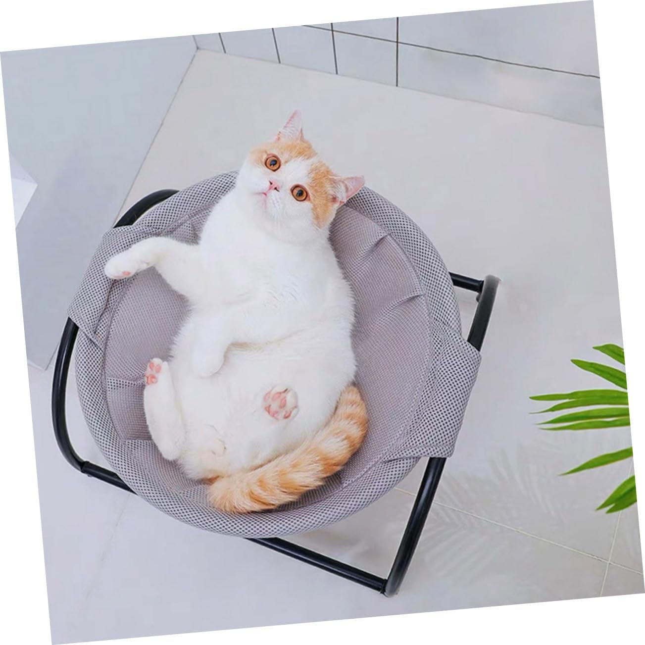 BESPORTBLE Elevated for Cats and Dogs Durable Frame Cat Hammock Design Stable Support for Kittens and Puppies Pet Supplies for Indoor Use