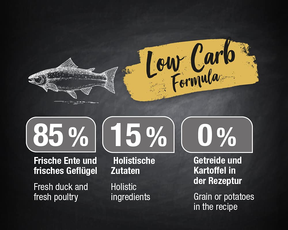 Leonardo fresh Salmon [4kg] Cibo per gatti | Cibo secco per gatti con 85% di carne fresca | Alimento completo per gatti adulti di tutte le razze di almeno 1 anno