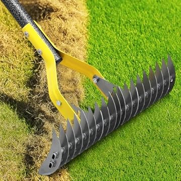 best rake for thatch removal you didn’t know you needed 2 best rake for thatch removal
