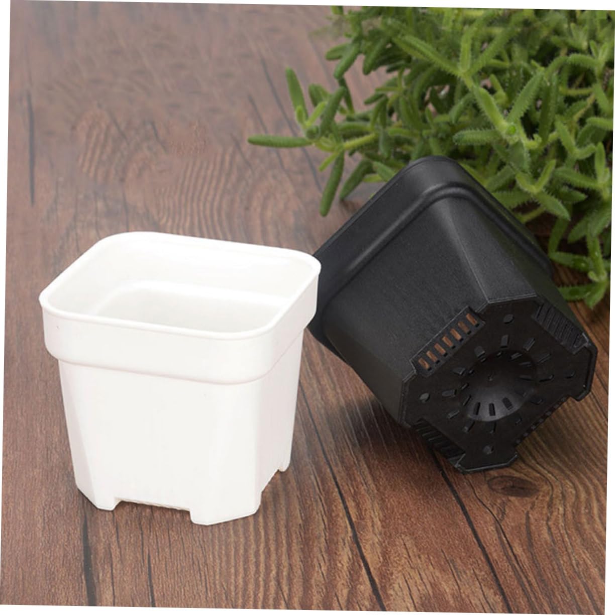 Kisangel 60 Pièces Pot De Semis Jardinière De Départ Pots De Plantes s De Plantation Polyvalents ES pour L' Jardinière Succulente De Fleur Mini PP