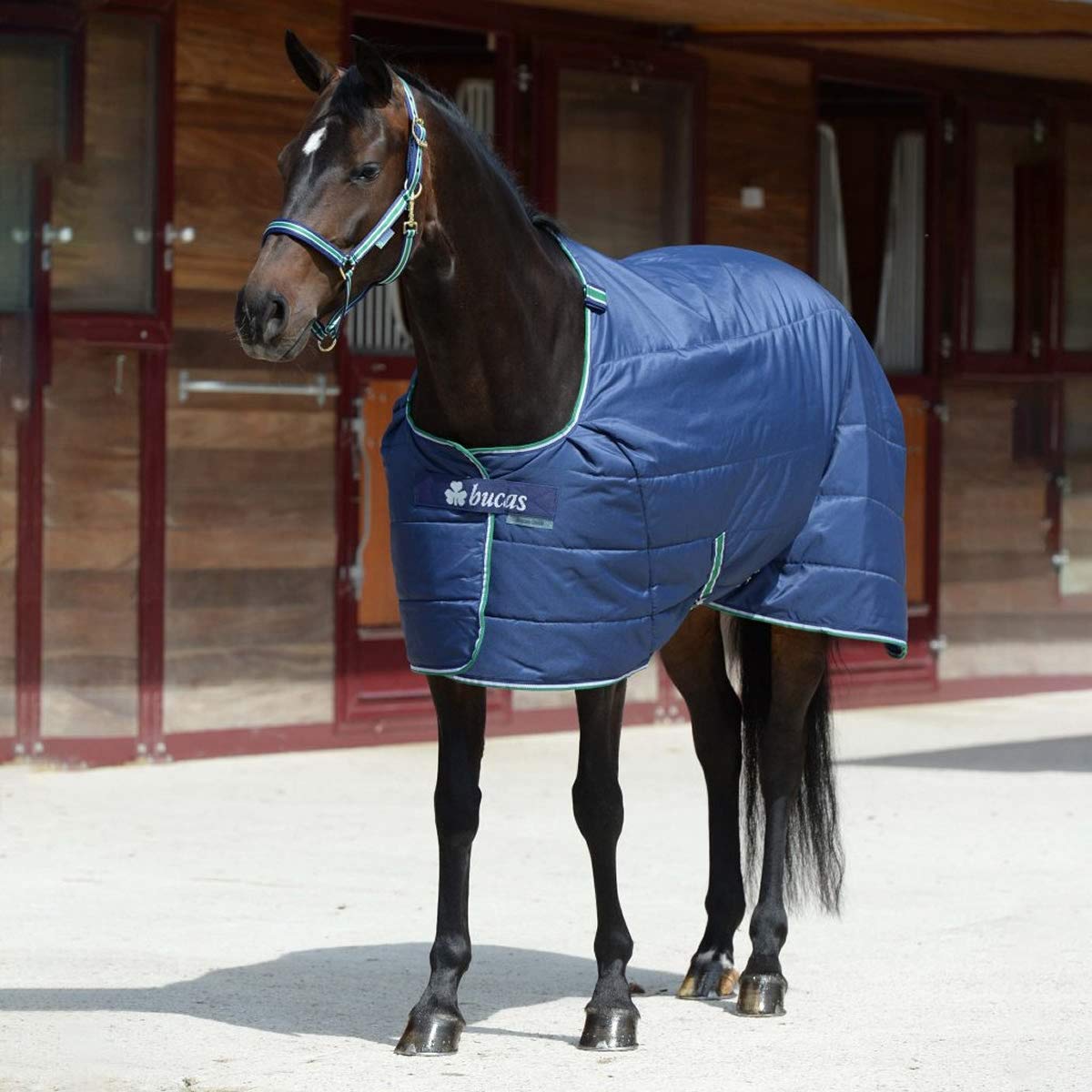 Amazon | 乗馬 馬着 bucas キルト ステーブル 馬着 150g 155cm 乗馬