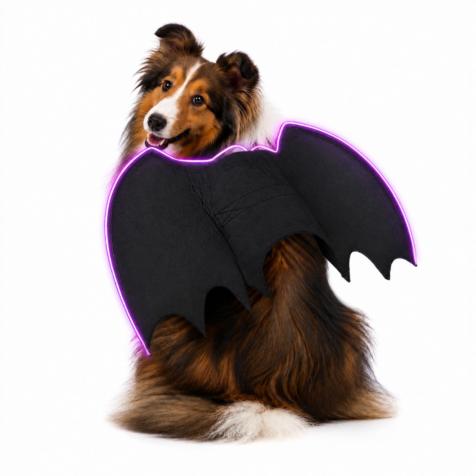 Ailes de chauve-souris LED ajustables et sûres pour chats et chiens