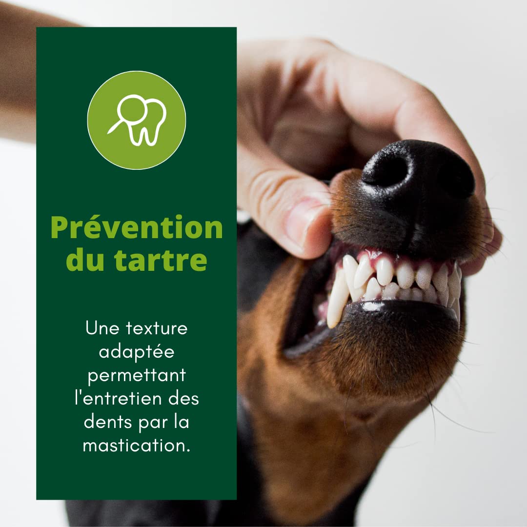 EQUILIBRE & INSTINCT - Chien Adulte - Petite Taille - Croquettes à la Volaille - Solidité des Os - Recette Complète Formulée avec des Vétérinaires - 5kg - Fabriqué en France